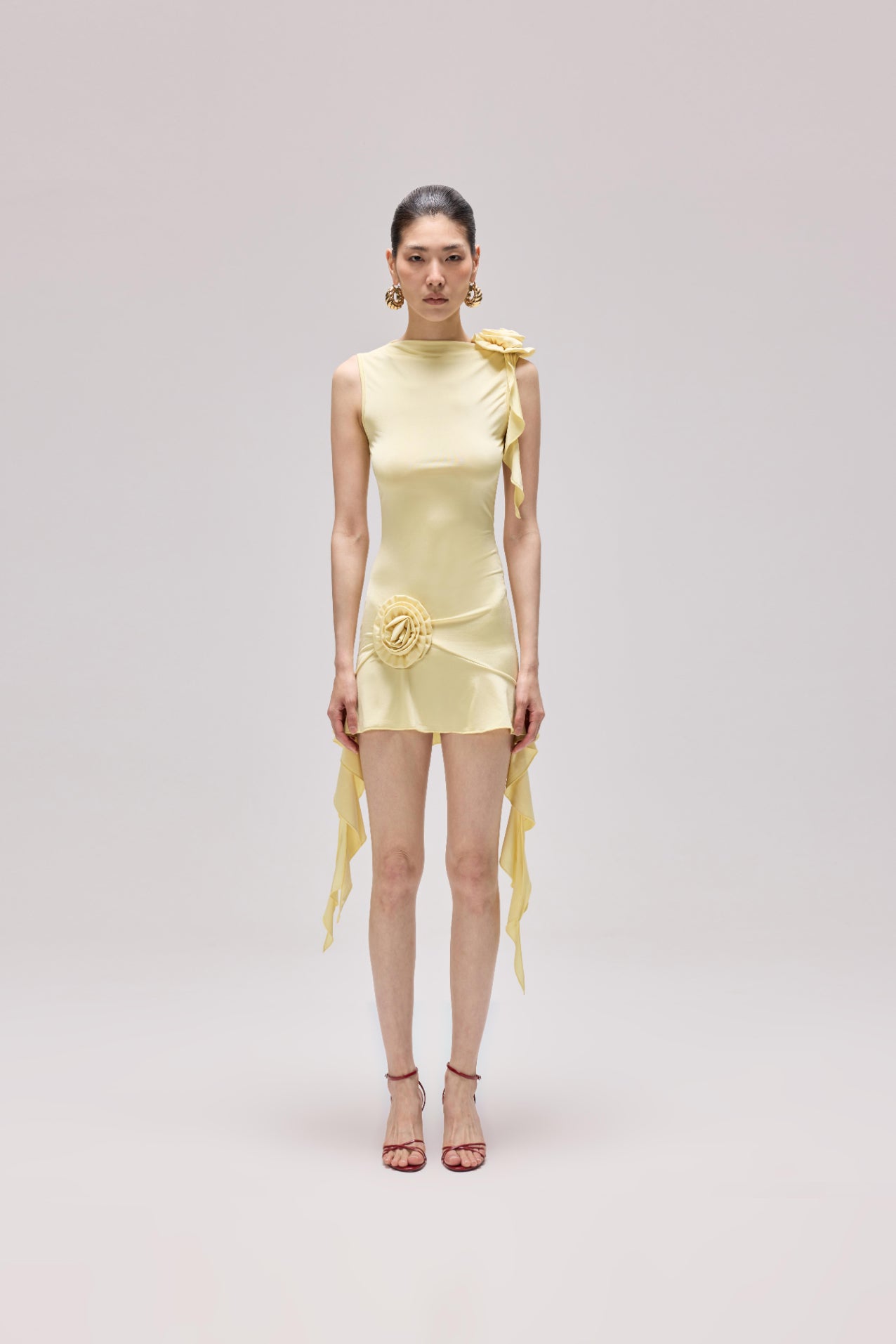 Fetch Dress