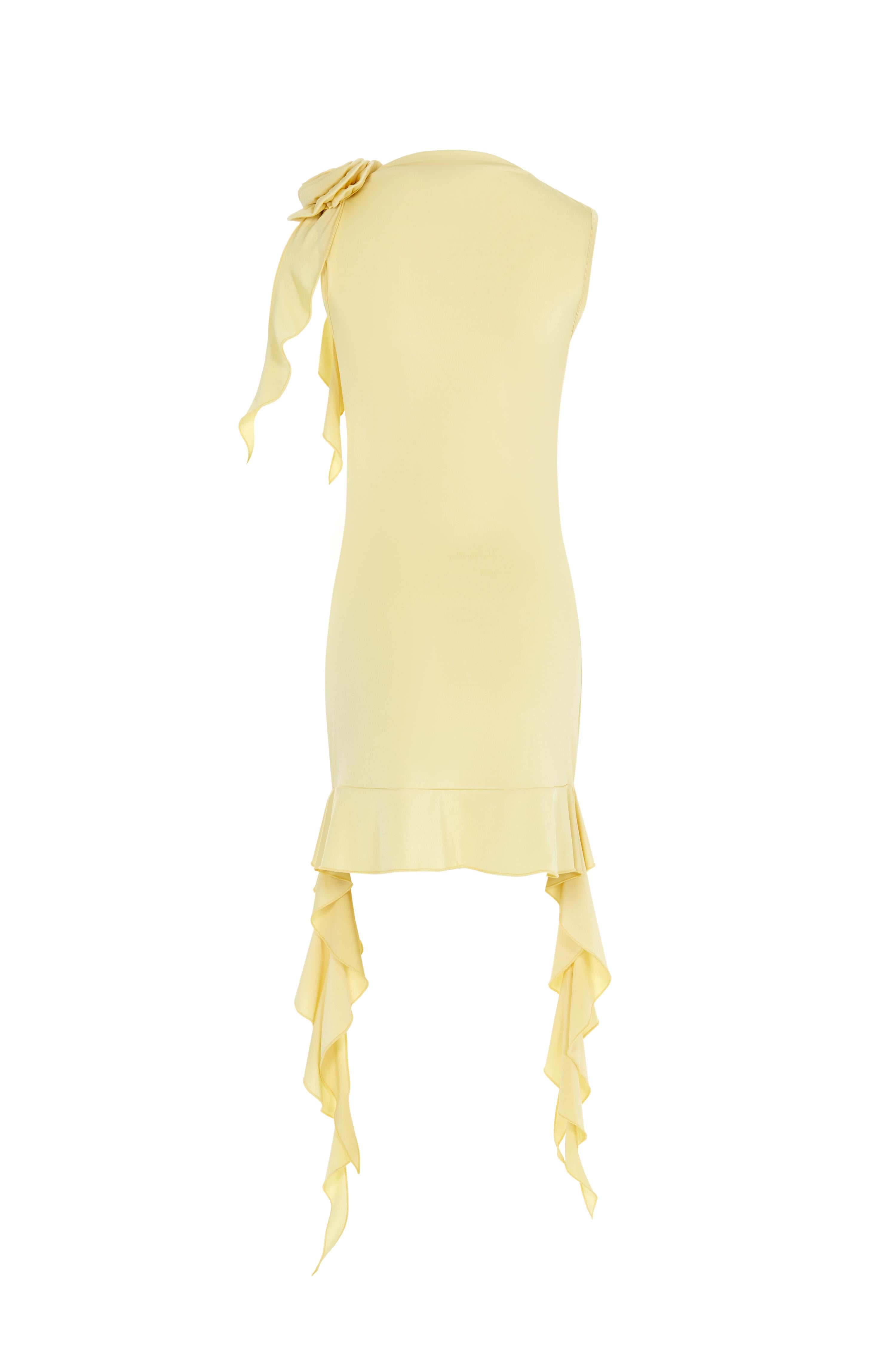 Fetch Dress