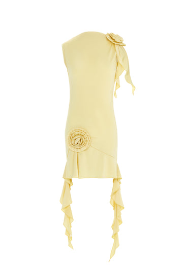 Fetch Dress