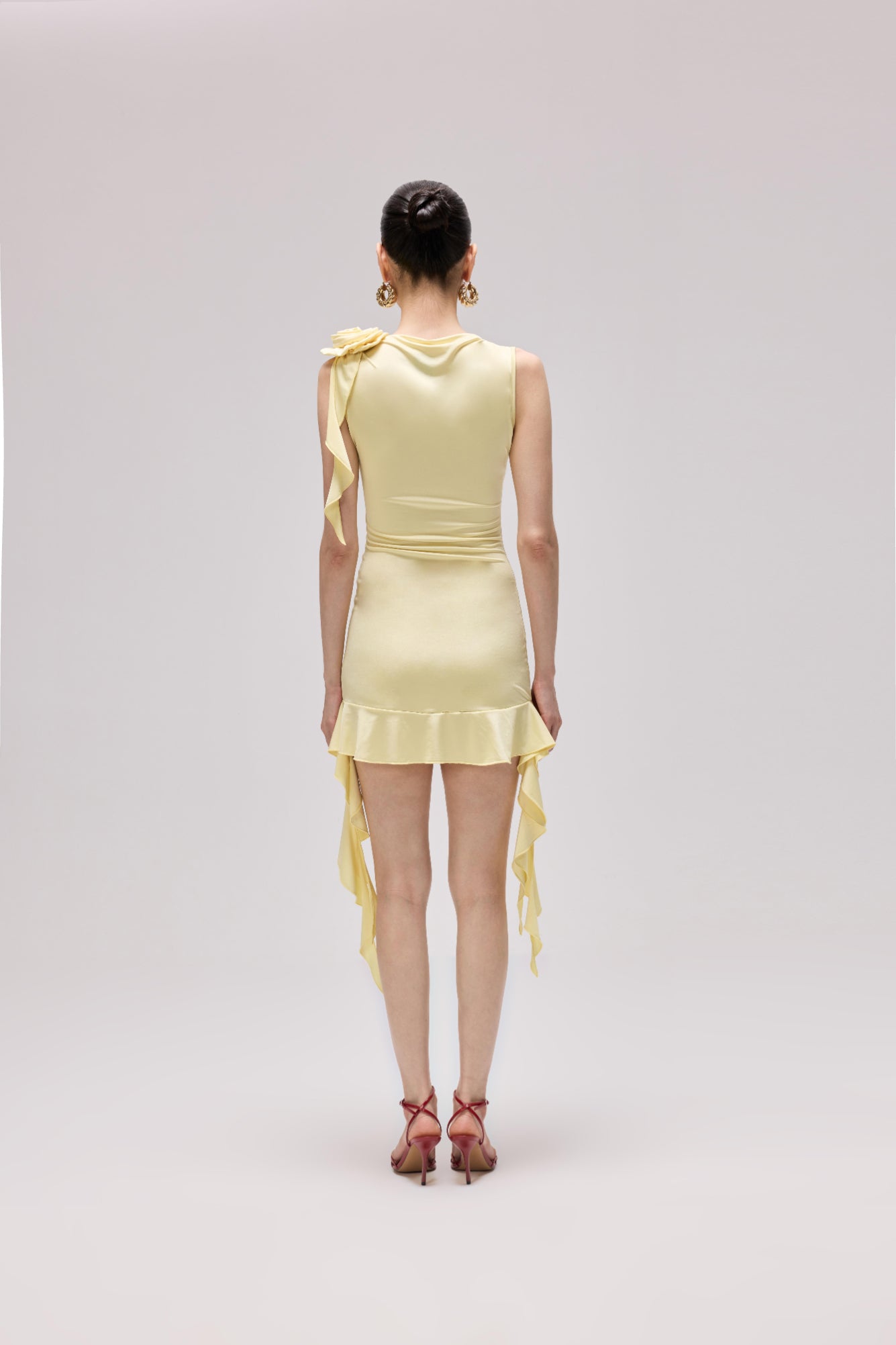Fetch Dress