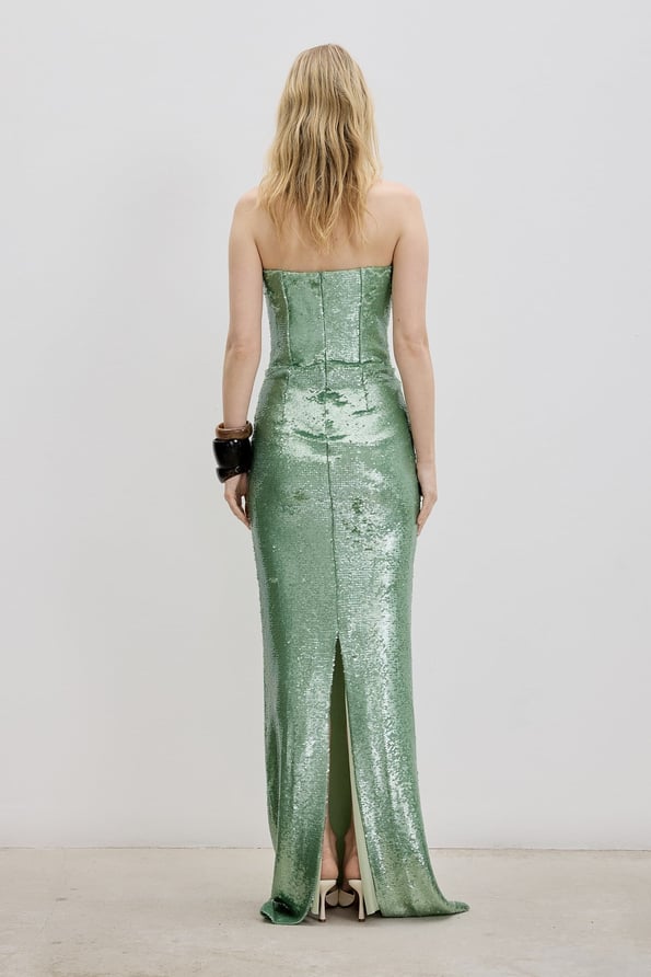 Metalic Dress
