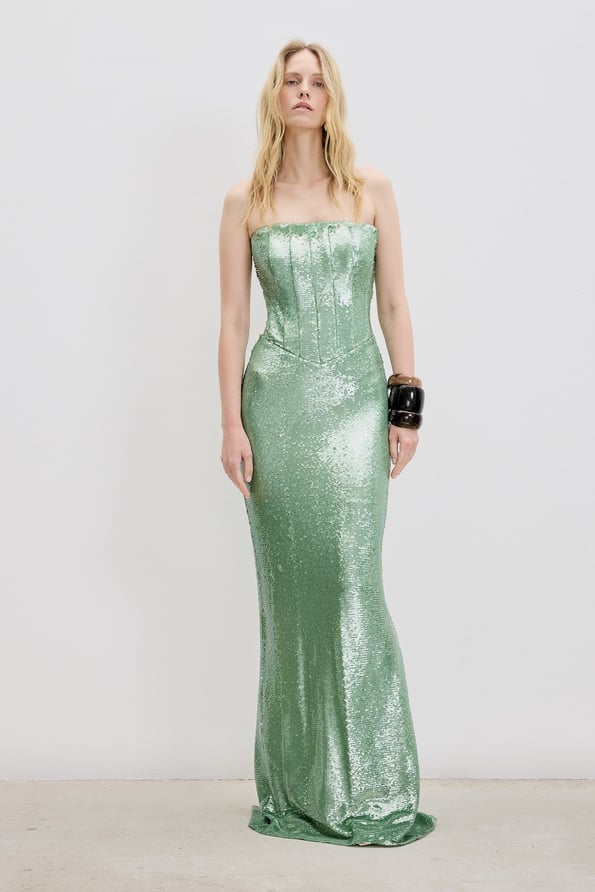 Metalic Dress